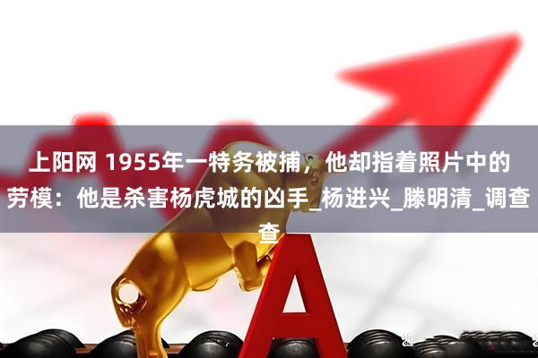 上阳网 1955年一特务被捕，他却指着照片中的劳模：他是杀害杨虎城的凶手_杨进兴_滕明清_调查