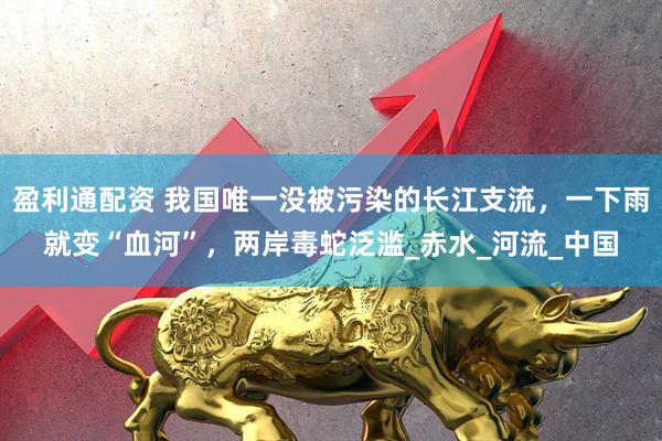 盈利通配资 我国唯一没被污染的长江支流，一下雨就变“血河”，两岸毒蛇泛滥_赤水_河流_中国